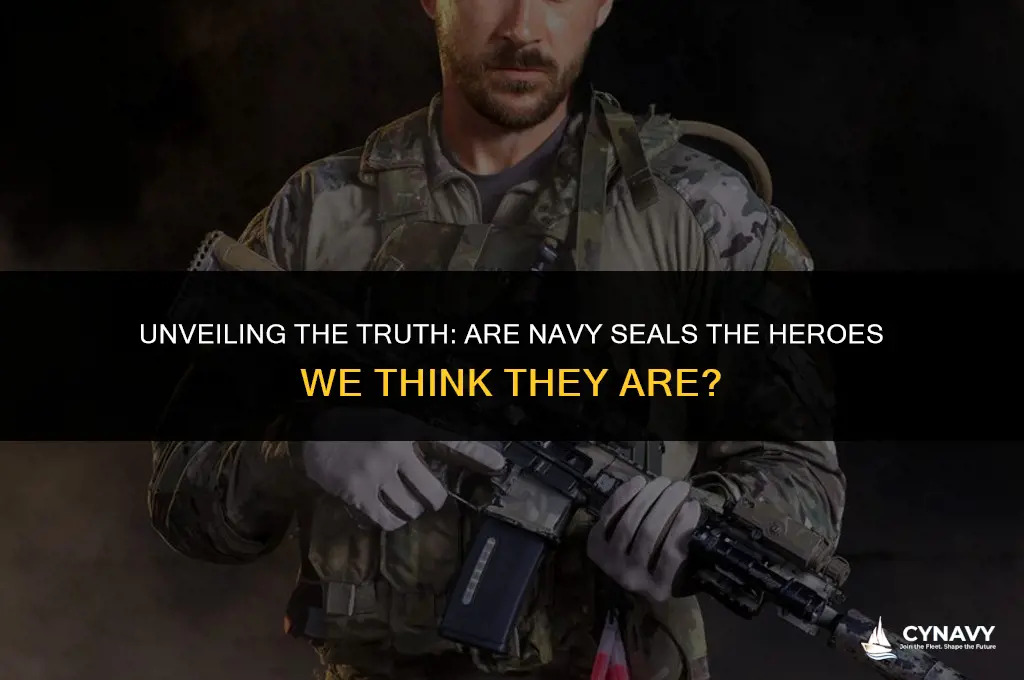 are navy seals good guys