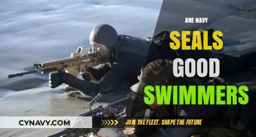 Exploring the Aquatic Prowess of Navy SEALs: Beyond the Surface