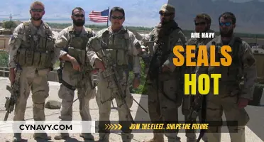 Exploring the Allure: Are Navy SEALs Considered Attractive?