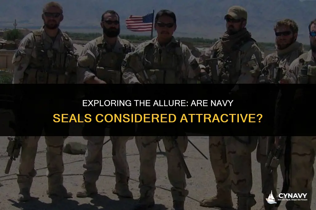 are navy seals hot