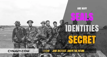 Unveiling the Enigma: The Secret Identities of Navy SEALs