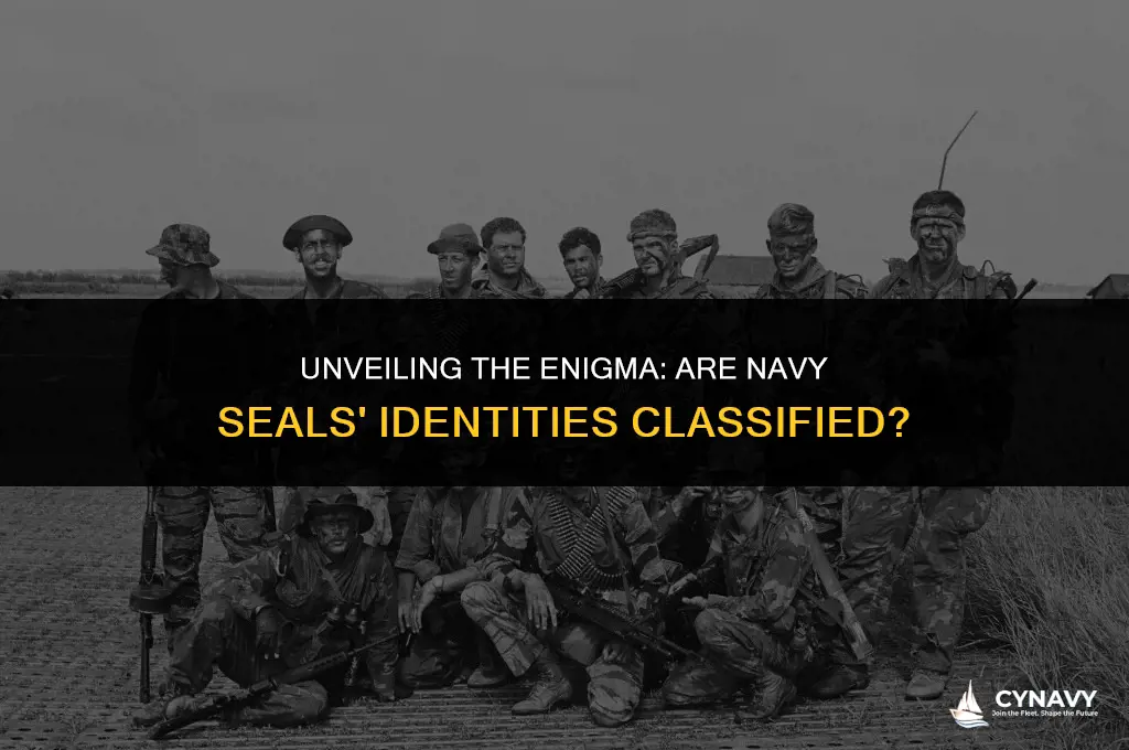 are navy seals identity clasified