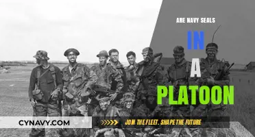 Understanding Navy SEAL Platoon Structure: A Comprehensive Guide