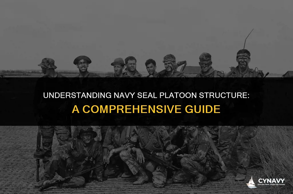 are navy seals in a platoon
