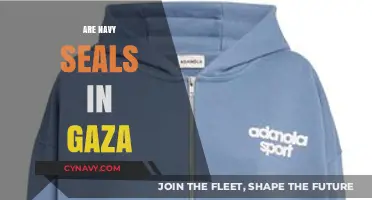 Navy SEALs' Alleged Presence in Gaza: Facts and Controversies Unveiled