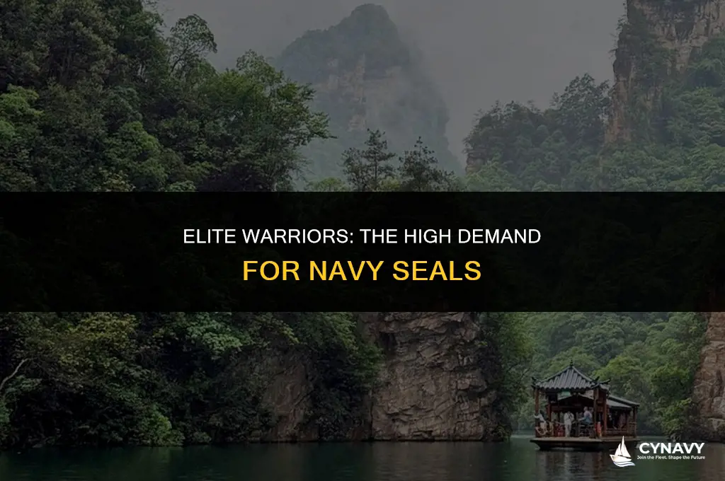 are navy seals in high demand