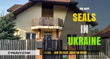 Covert Ops in Ukraine: Are Navy SEALs Involved?