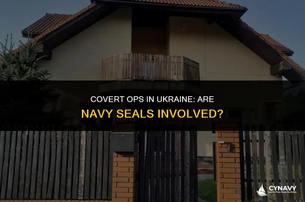 are navy seals in ukraine