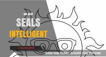 Exploring the Intellectual Prowess of Navy SEALs: A Comprehensive Analysis