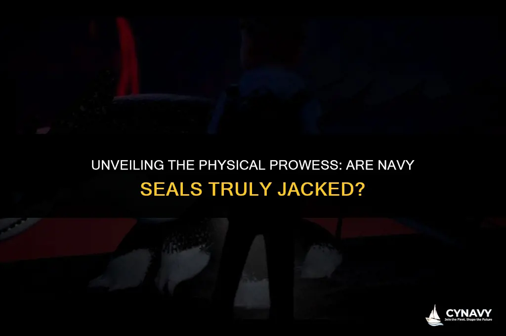 are navy seals jacked