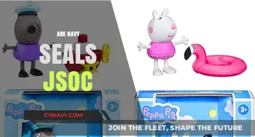 Exploring the Elite: Are Navy SEALs Part of JSOC?