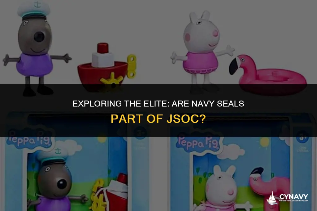 are navy seals jsoc