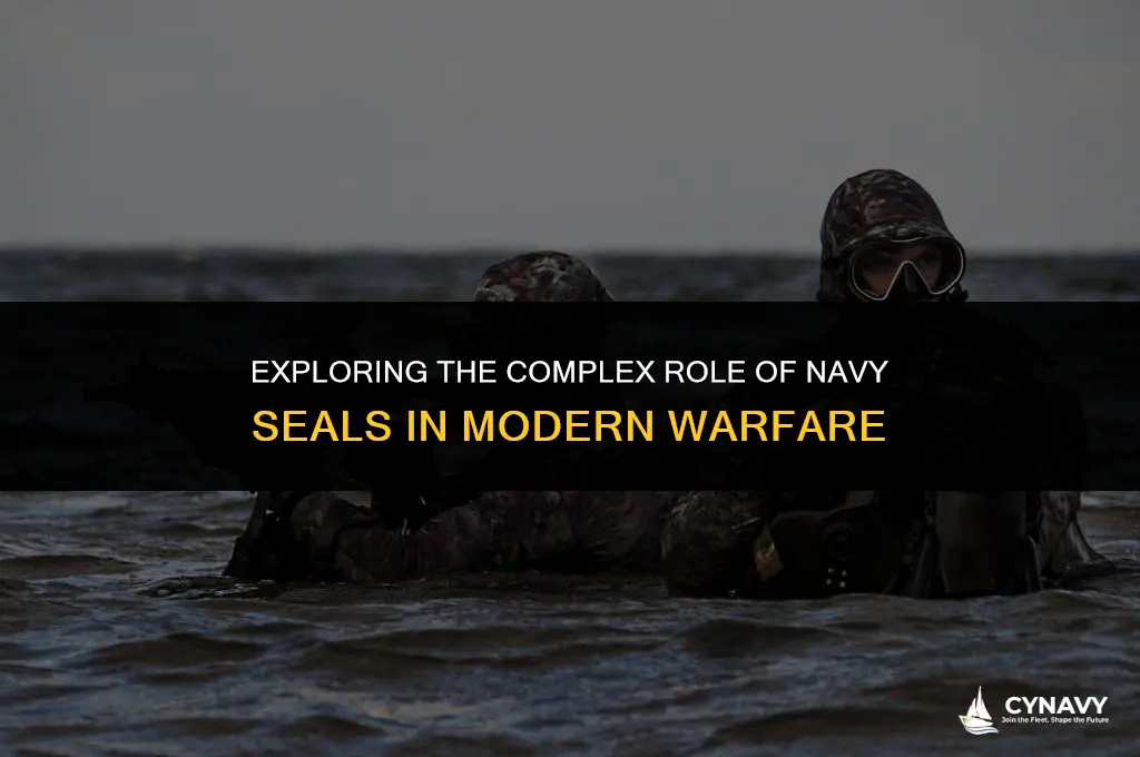 are navy seals killers