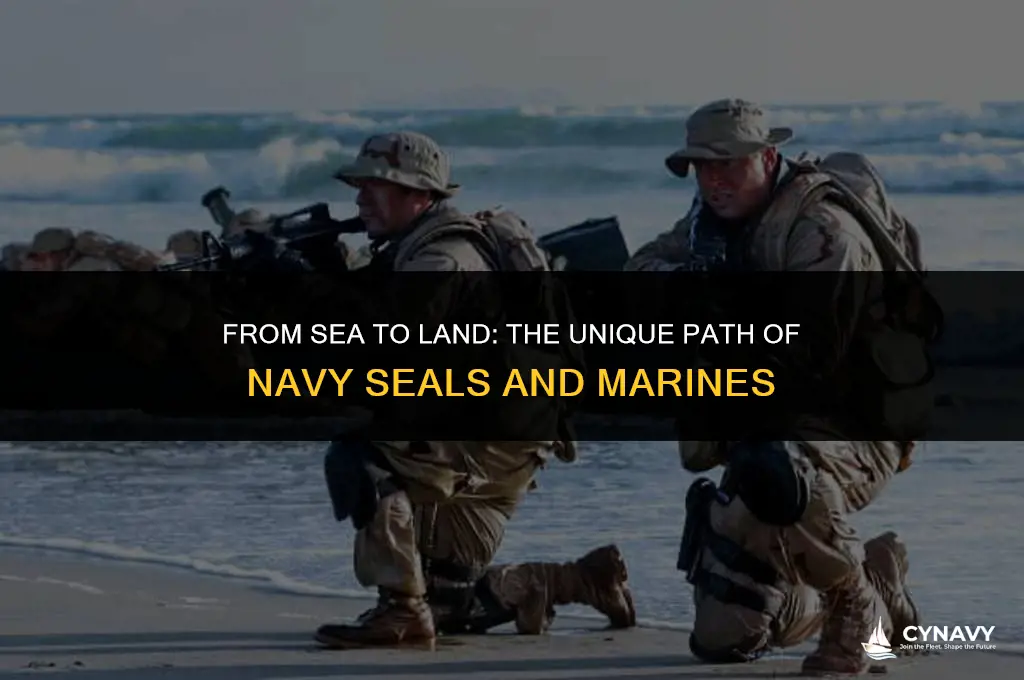 are navy seals marines first