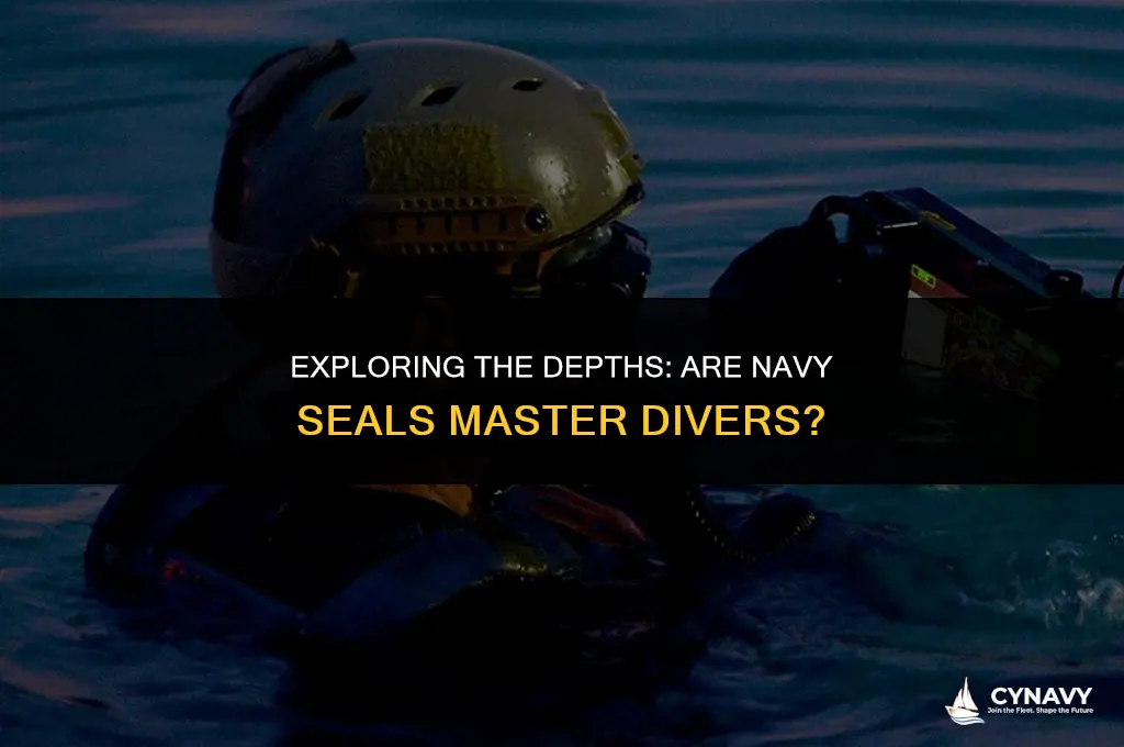 are navy seals master divers