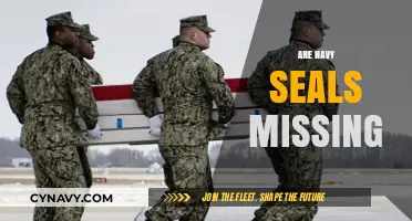 Unveiling the Truth: Are Navy SEALs Really Missing?