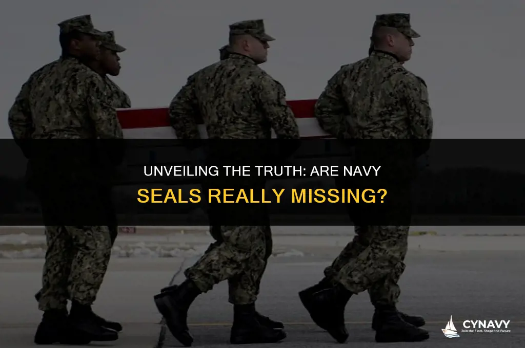 are navy seals missing