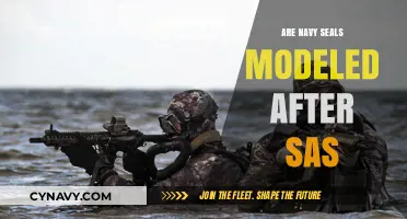Elite Forces Compared: Are Navy SEALs Modeled After the SAS?