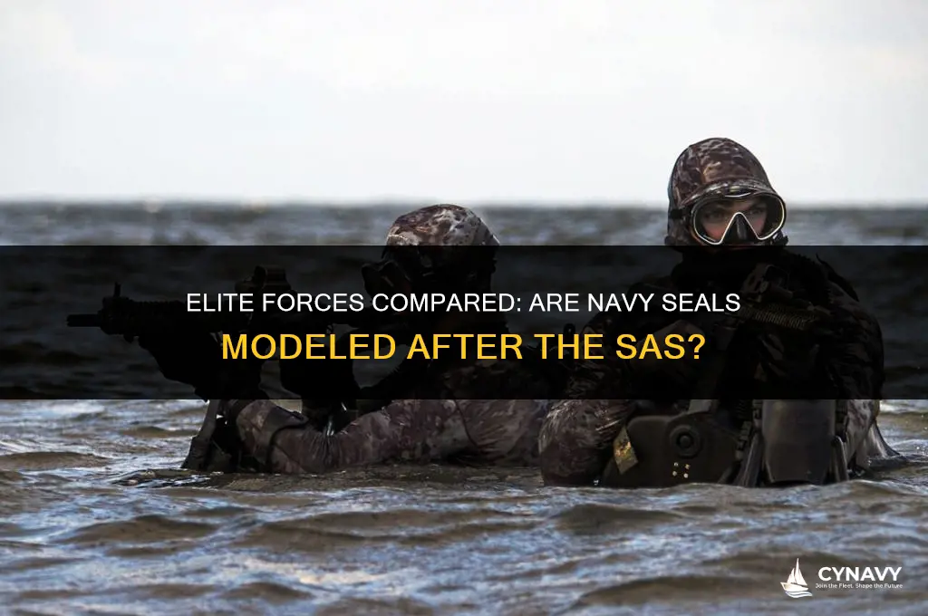 are navy seals modeled after sas