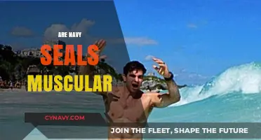 Unveiling the Physical Prowess: Are Navy SEALs Truly Muscular?
