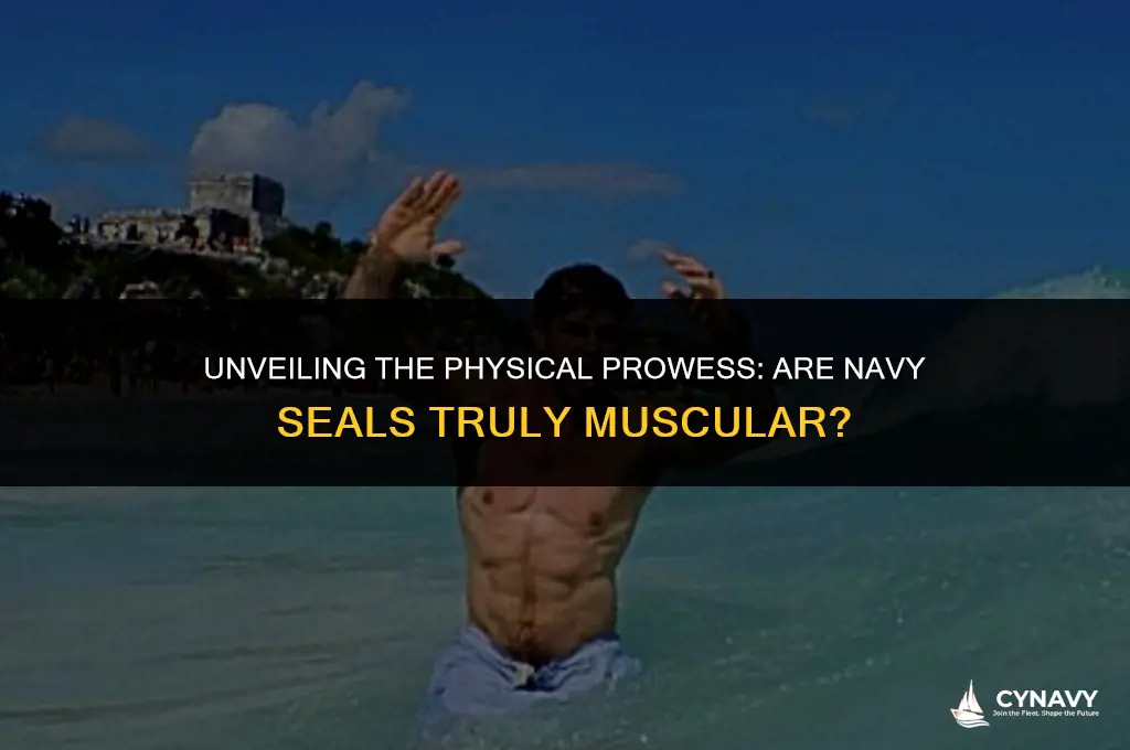 are navy seals muscular