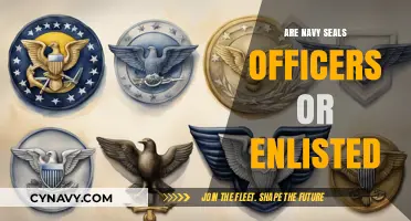 Understanding the Hierarchy: Are Navy SEALs Officers or Enlisted?