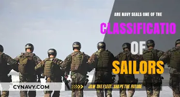 Exploring the Elite: Navy SEALs and Their Place Among Sailors