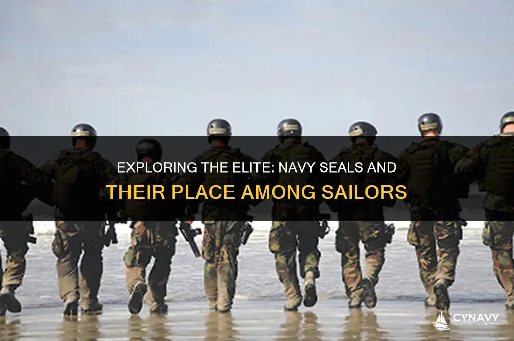 are navy seals one of the classifications of sailors