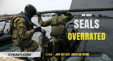 Debunking Myths: The Unfiltered Truth About Navy SEALs' Capabilities