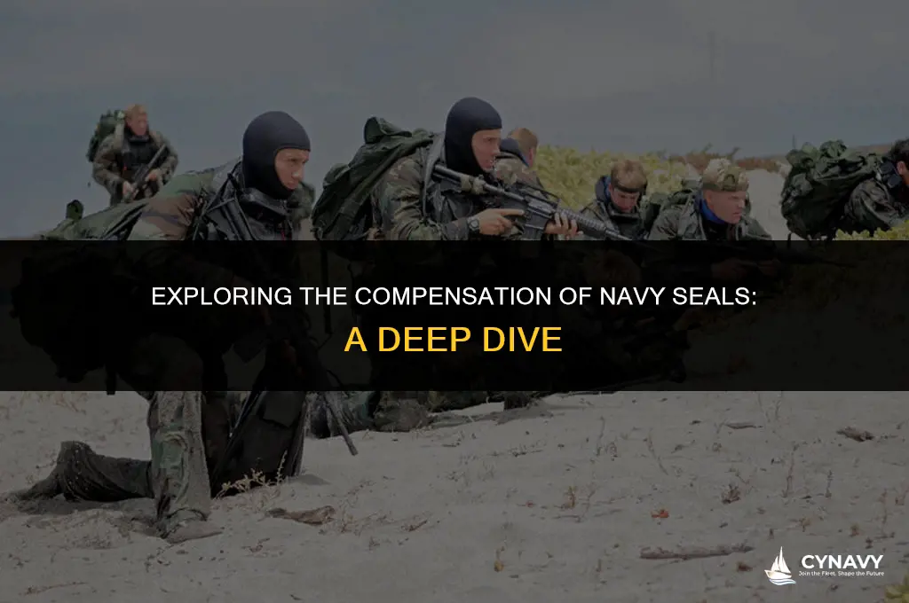 are navy seals paid well