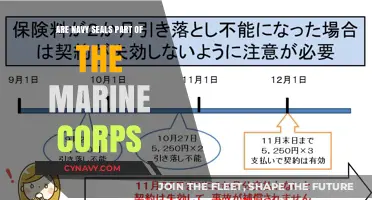 Decoding Military Structure: Navy SEALs and the Marine Corps