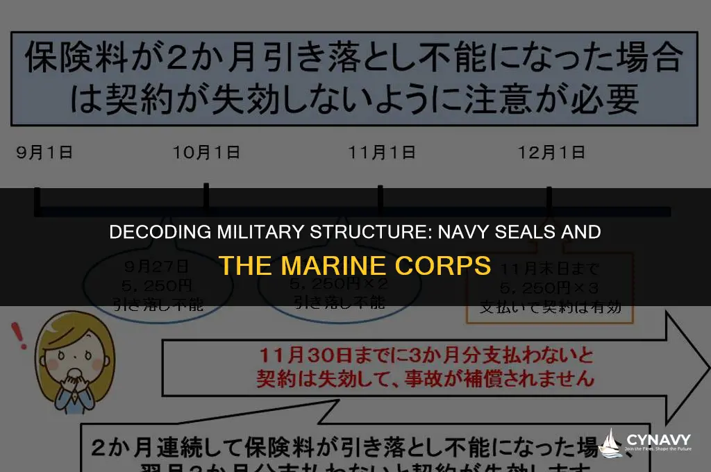 are navy seals part of the marine corps