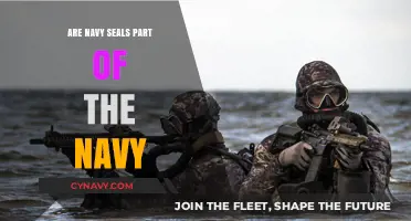 Exploring the Relationship: Are Navy SEALs Truly Part of the Navy?