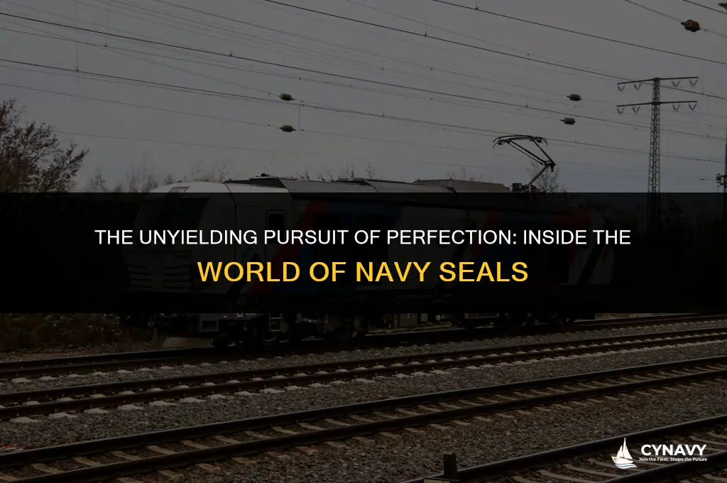 are navy seals perfect