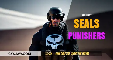 Decoding the Myth: Are Navy SEALs Modern-Day Punishers?