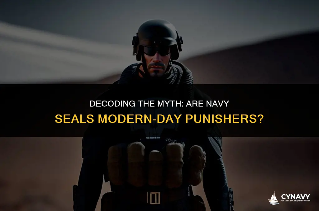 are navy seals punishers