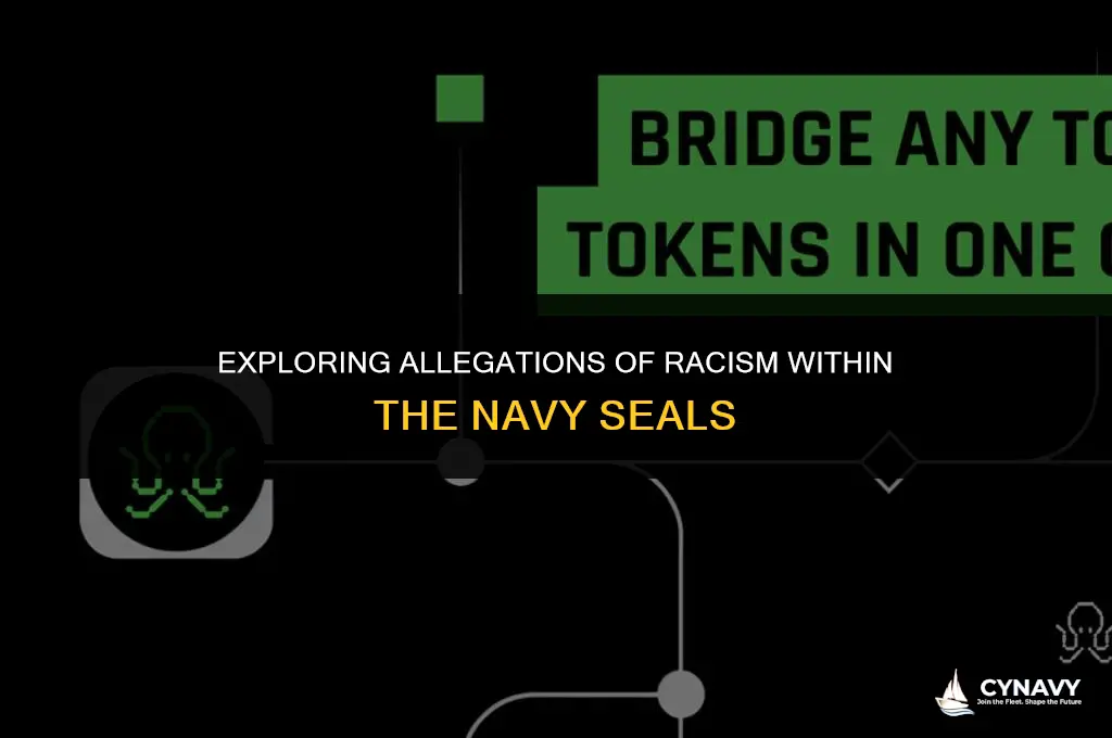 are navy seals racist