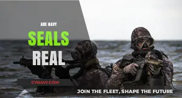 Unveiling the Truth: Are Navy SEALs Real or Just a Myth?