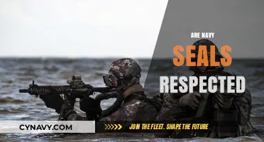 Earning Esteem: The Respected Status of Navy SEALs
