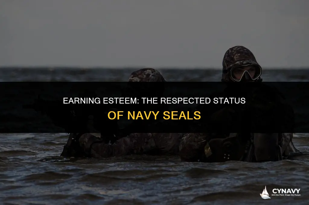are navy seals respected