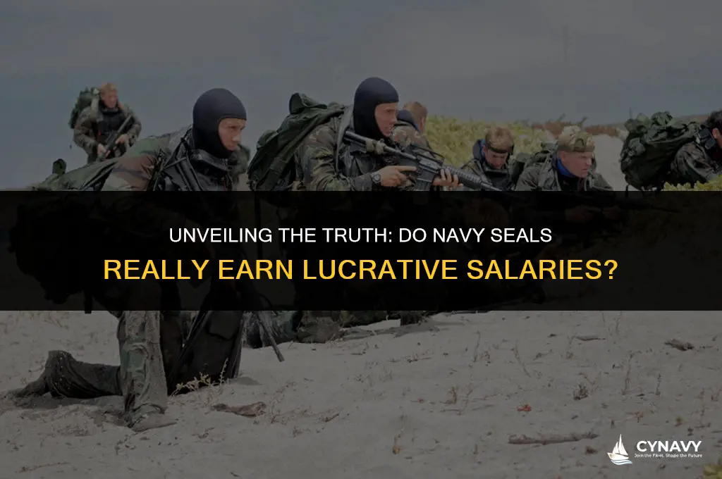are navy seals rich