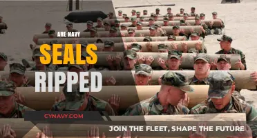 Unveiling the Physical Prowess: Are Navy SEALs Truly Ripped?