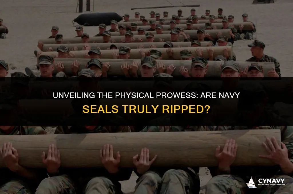 are navy seals ripped