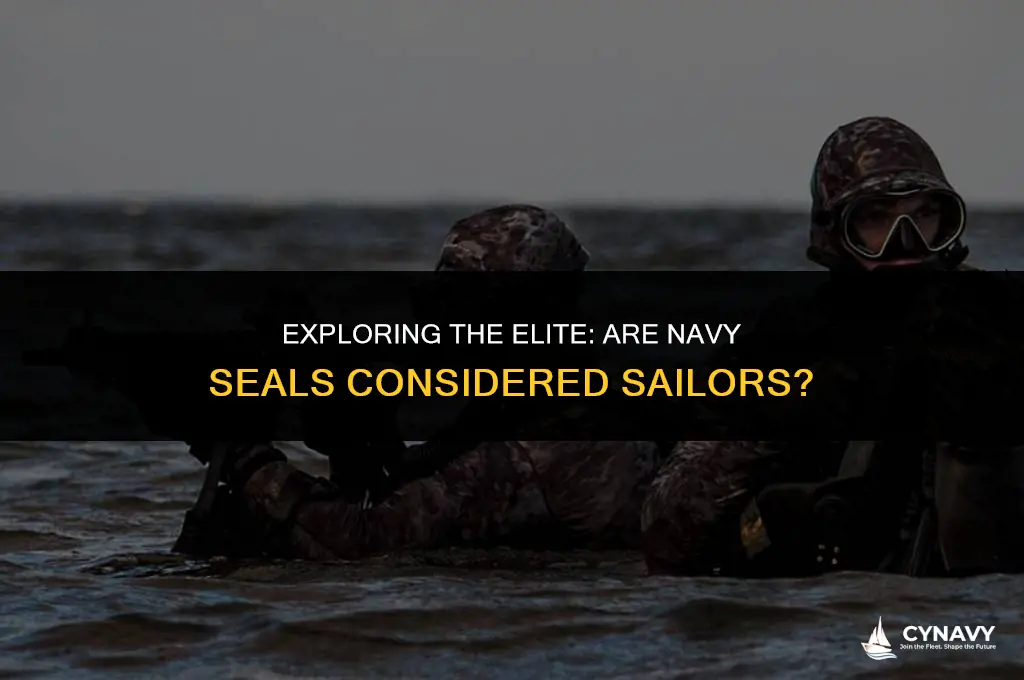 are navy seals sailors