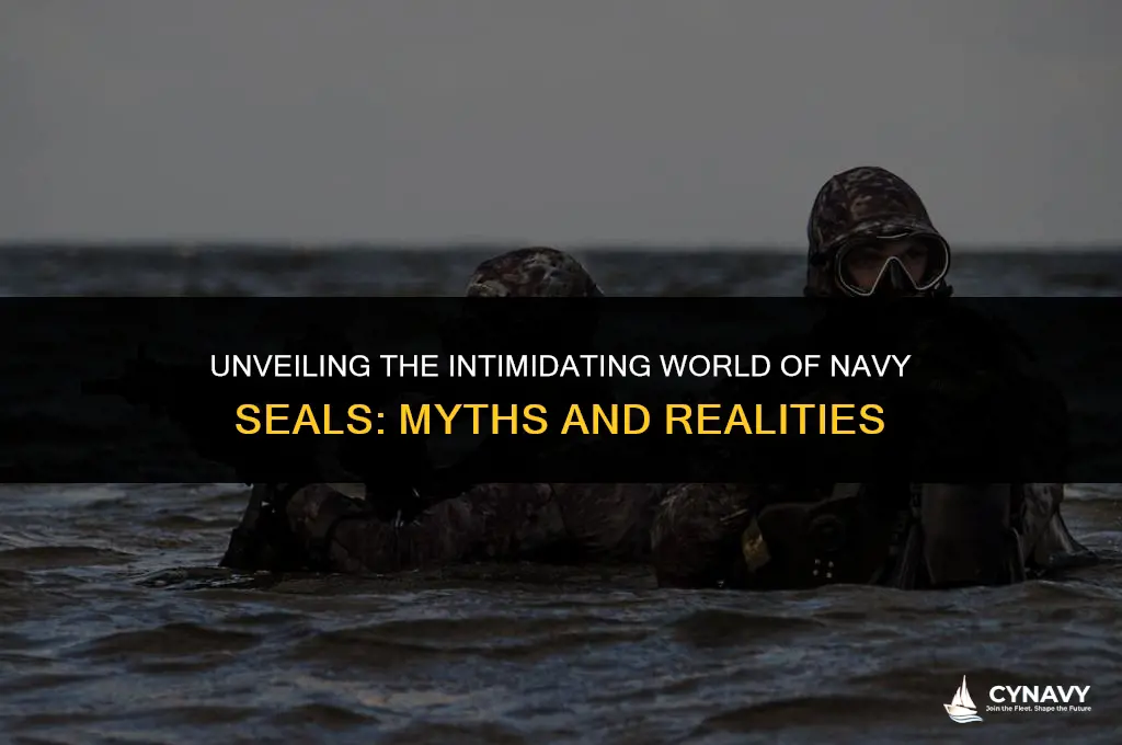 are navy seals scary