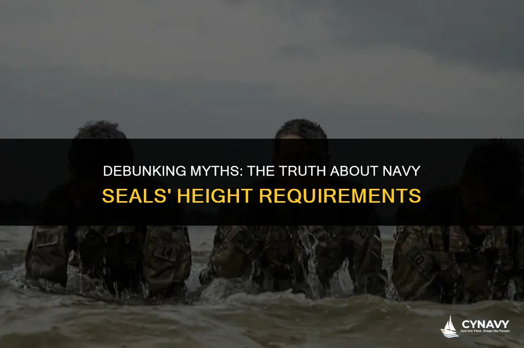 are navy seals short