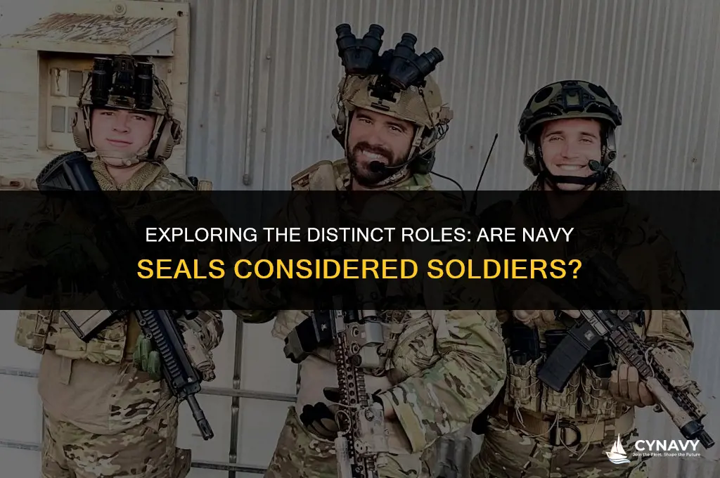 are navy seals soldiers