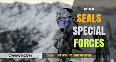 Exploring the Elite: Are Navy SEALs Considered Special Forces?