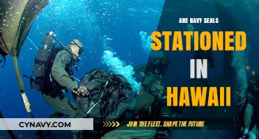 Exploring the Presence of Navy SEALs in Hawaii: Facts and Insights