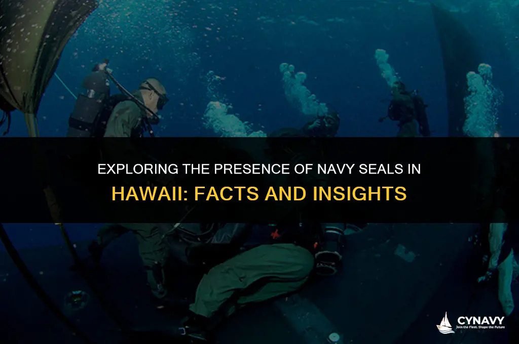 are navy seals stationed in hawaii